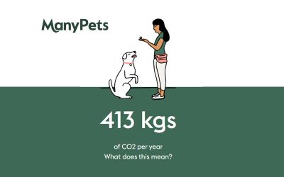 Manypets releases pet carbon calculator