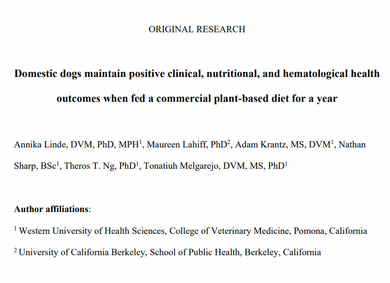 PhD study showing positive health outcomes over a year with dogs fed a plant-based diet