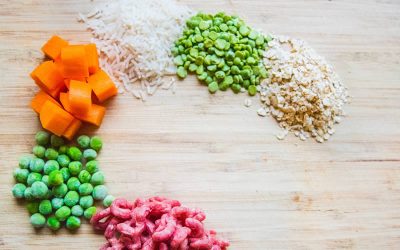 The Great Protein Debate – Beef or Beans?