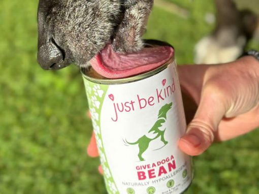 Give A Dog A Bean