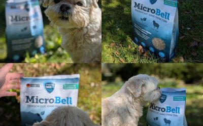 Coco is thriving on Microbell bacterial fermentation protein!